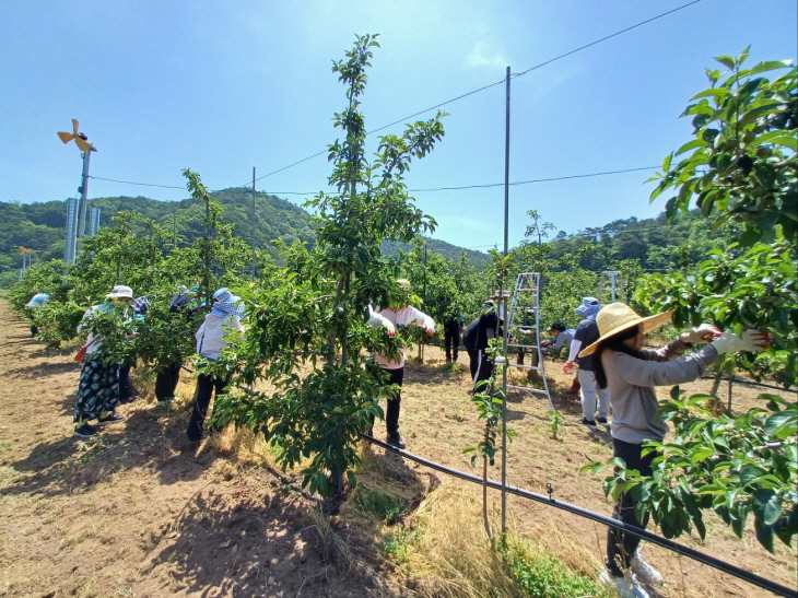 농축산유통국 일손돕기