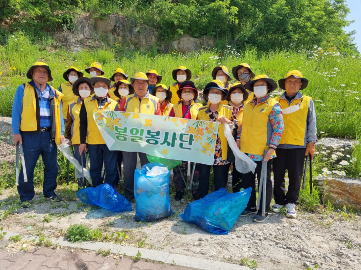 대한노인회 봉일봉사단