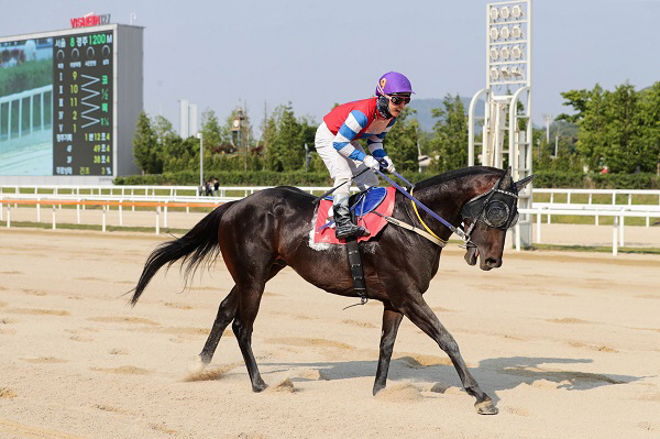 한국마사회 YTN배 대상경주.. 부경 군단 ‘싹슬이?’ 긴장↑