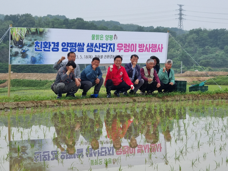 양평군 18일 친환경농법 쌀 생산 위한 왕우렁이 방사 진행