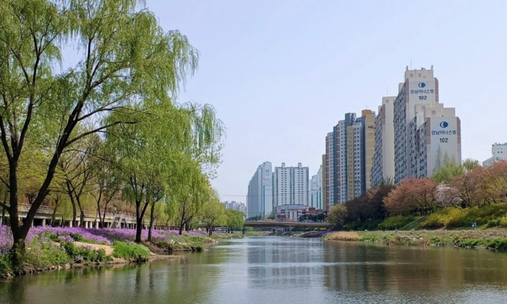 안양 안양천 전경
