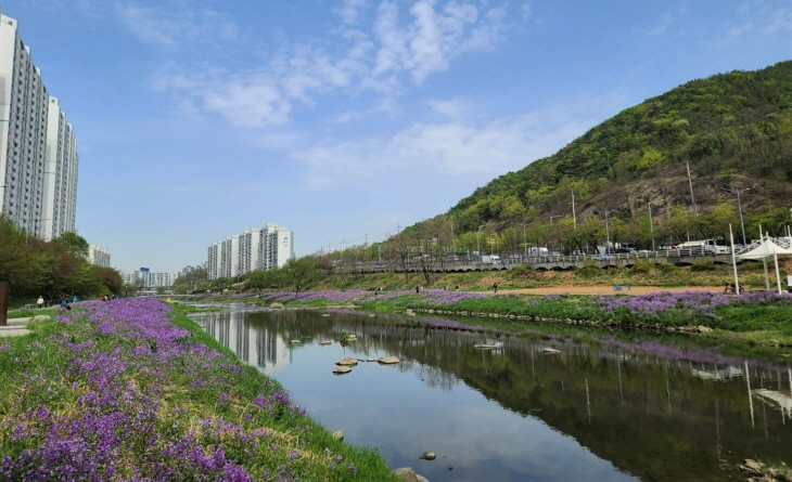 안양 안양천 전경