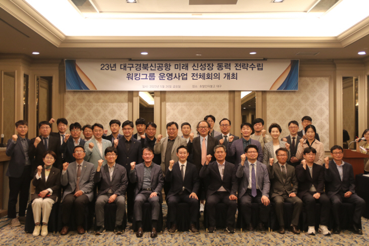 대구경북신공항 워킹그룹회의