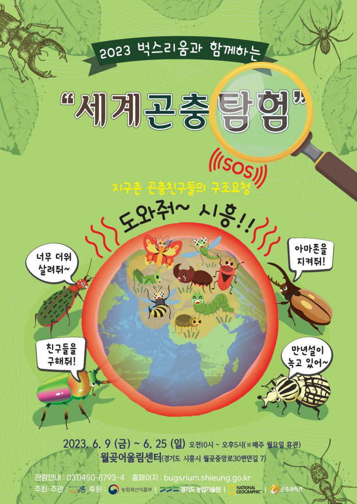 시흥시 세계곤충탐험 포스터