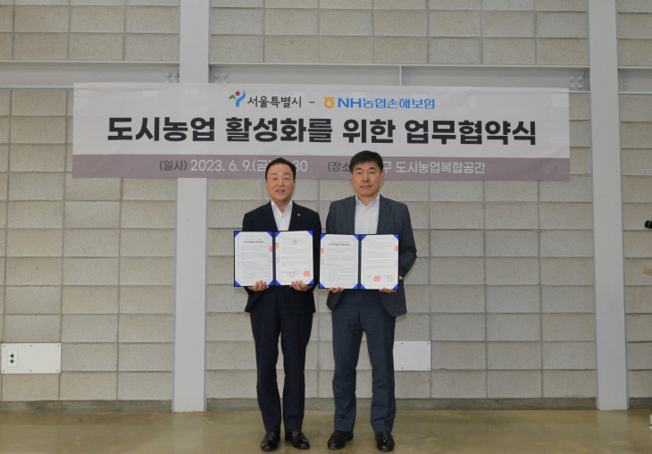 농협손보