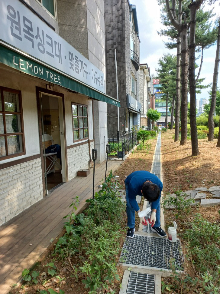 모기 유충구제 방역활동
