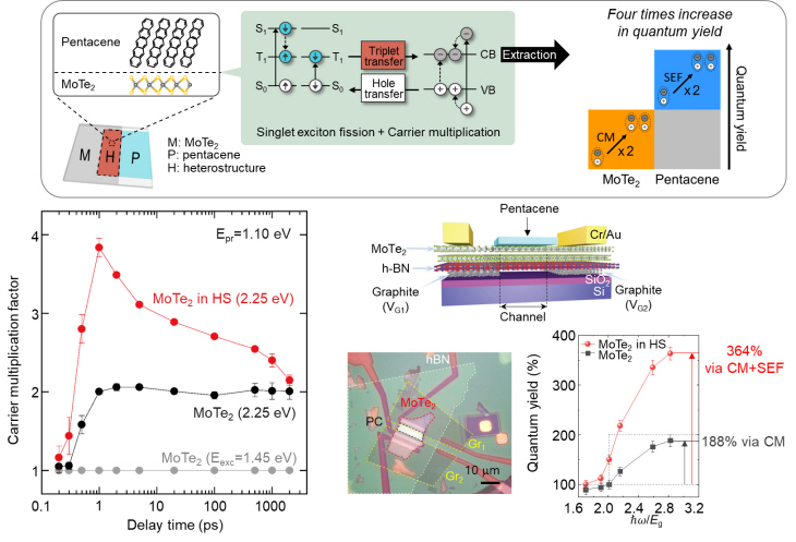 복수 캐리어 증폭 연구 결과