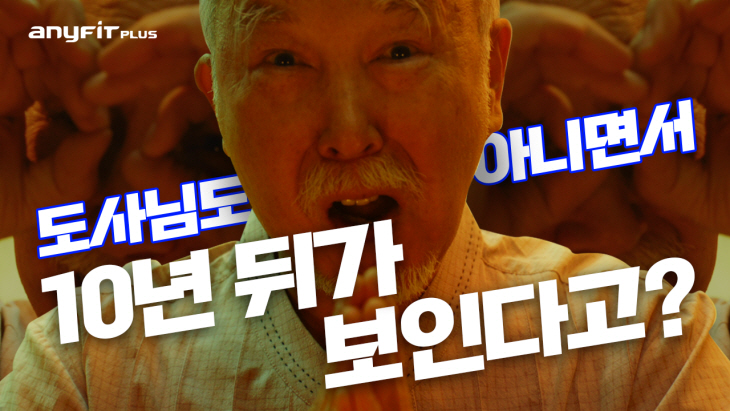 애니핏