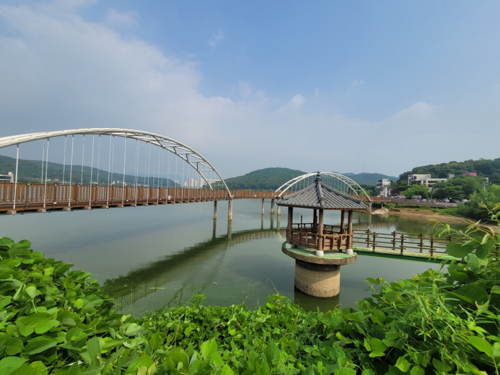 시흥 물왕호수