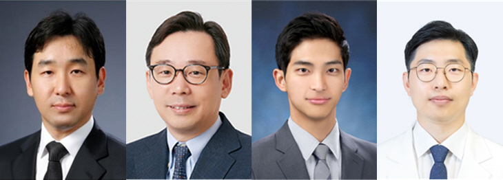 카이스트연구팀