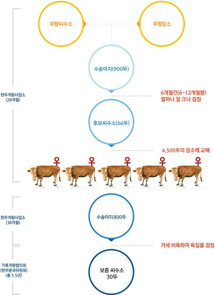 최종 선발까지 약 5.5년 소요