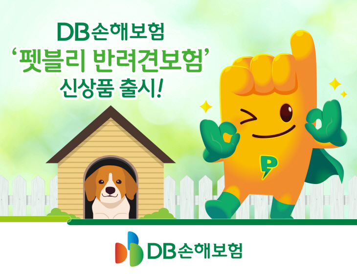 DB손해보험
