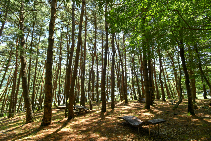 비봉산 산림공원-2(JP2_6386)