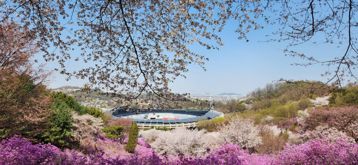 부천 3경 진달래동산