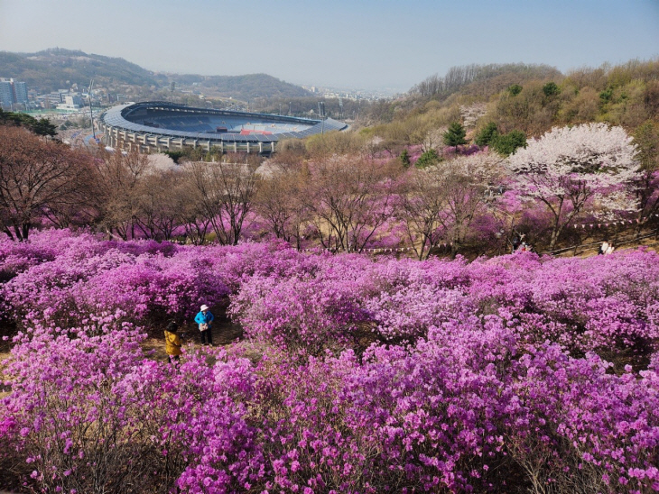 부천8경 중 3경 진달래동산