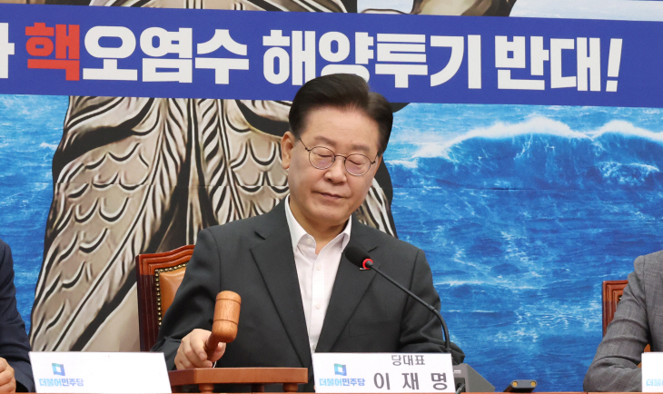 의사봉 두드리는 이재명 대표