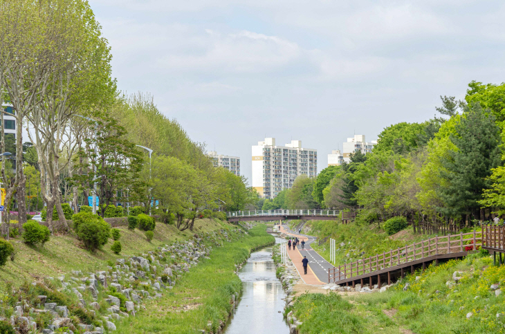 과천시 양재천변