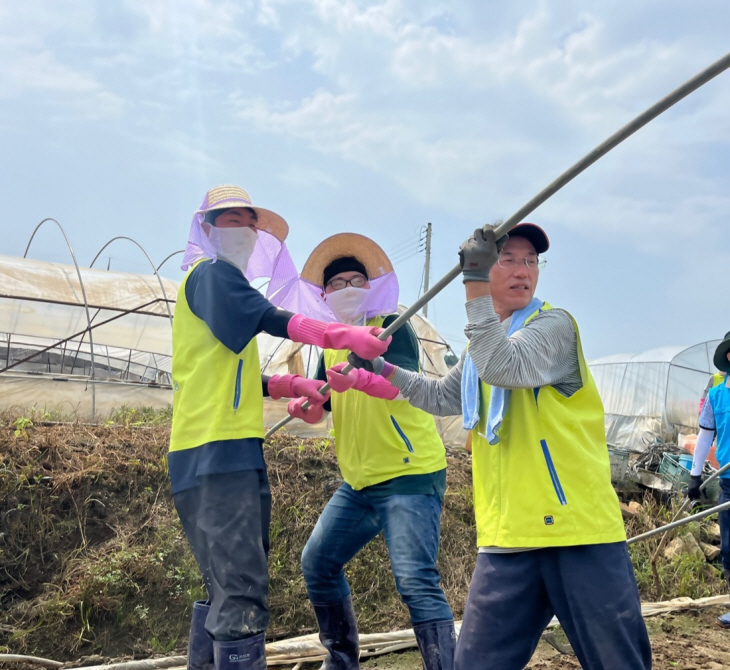 농협금융지주