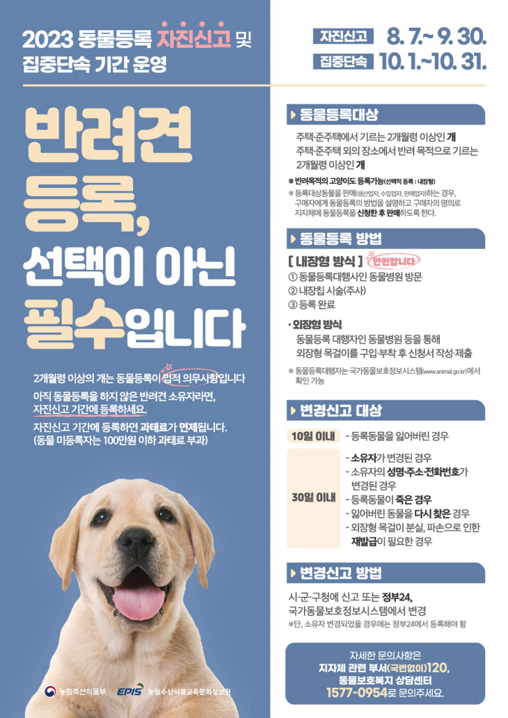 양평군 반려견 등록 자진신고기간 운영 포스터