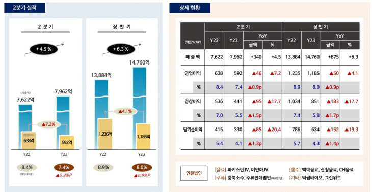 롯데칠성음료 실적
