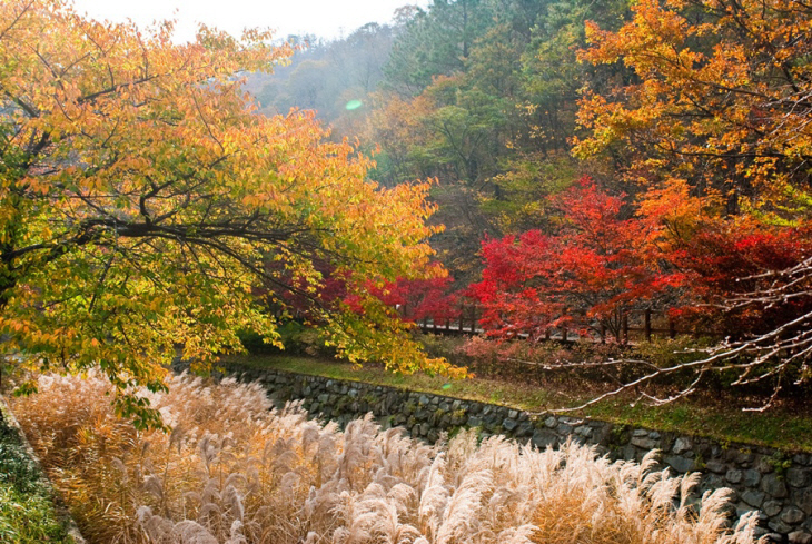 성주산