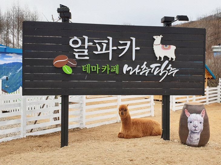 마추픽추_출처_알파카마추픽추홈페이지