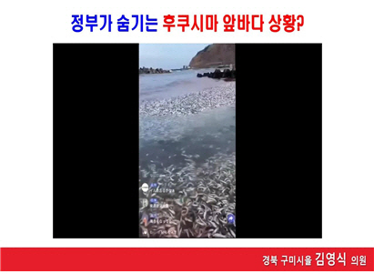 clip20230903101751