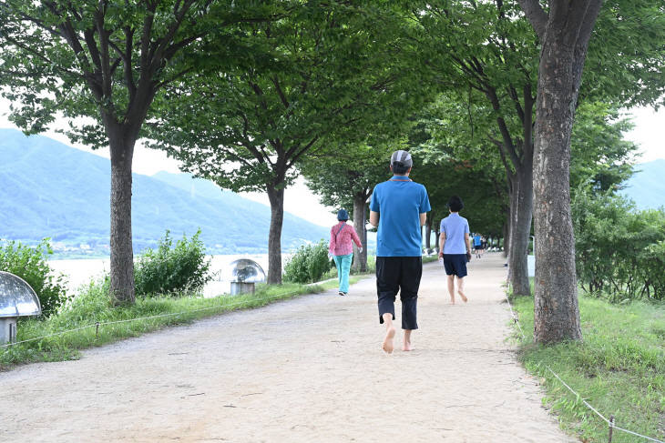 하남시 한강 당정뜰 제방도로 모랫길