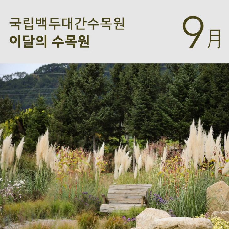 잔디언덕