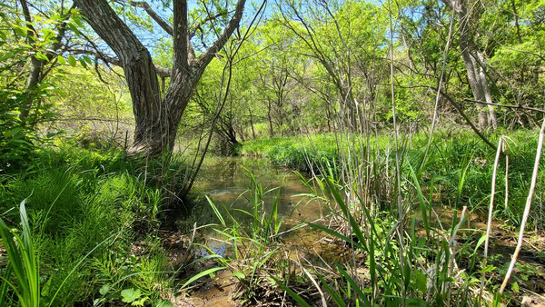 <포천>산림습원