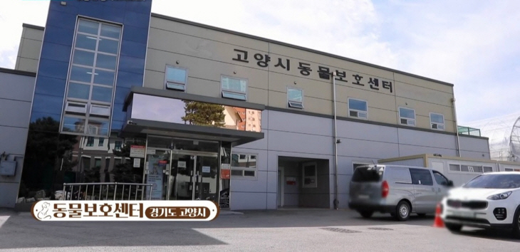 고양특례시 동물보호센터