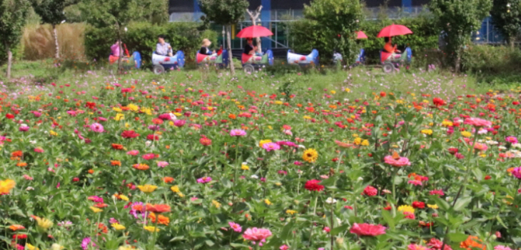용수골 들꽃축제7_1