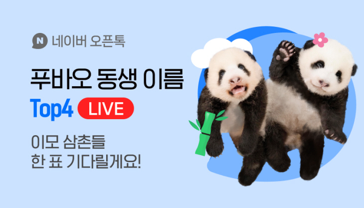 [이미지] 오픈톡 쌍둥이 판다 이름 투표