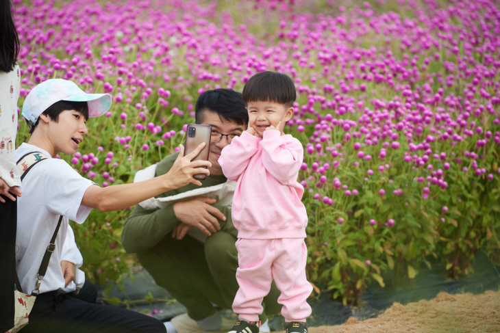 양주시 2023 양주 천만송이 천일홍 축제현장