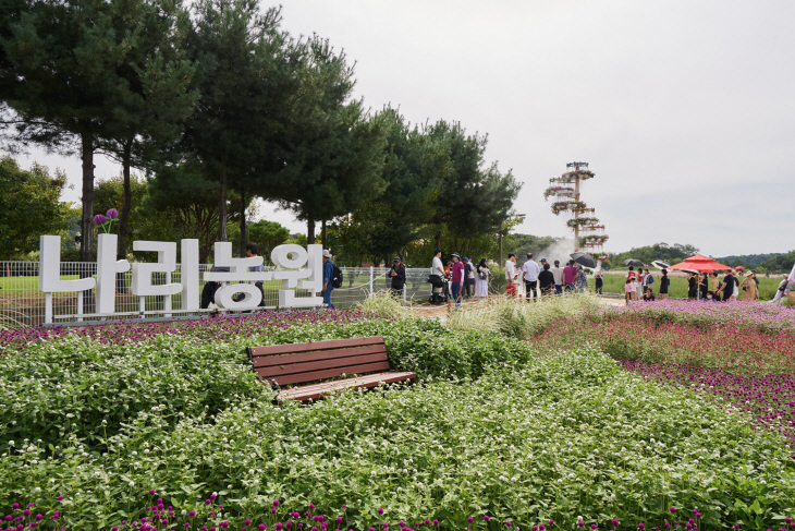 양주시 2023 양주 천만송이 천일홍 축제현장