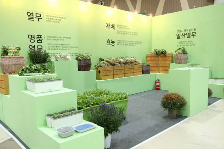2023 고양가을꽃축제- 고양의 화원