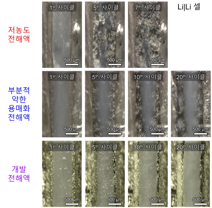 리튬 배터리 전해액