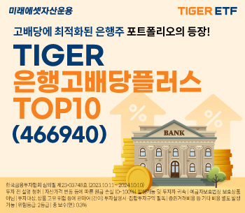TIGER은행고배당플러스TOP10_사진2