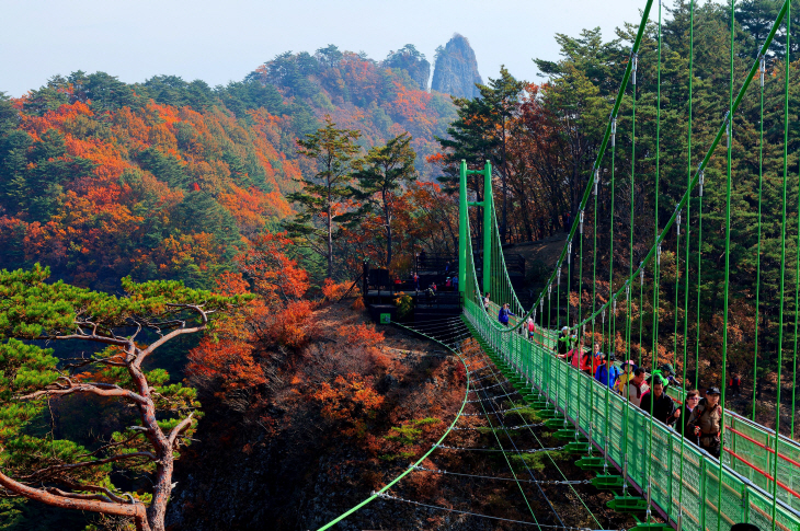 청량산 하늘다리