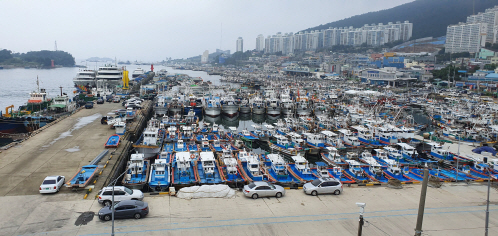 여수 국동항1
