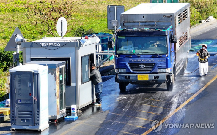 럼피스킨 방역