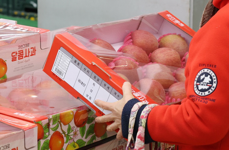 설 사과선물센트