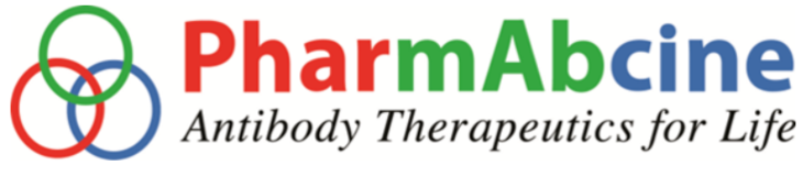 파멥신, 타이어뱅크 투입에도 상장적격성 ‘불안’ - 뉴스 썸네일 이미지