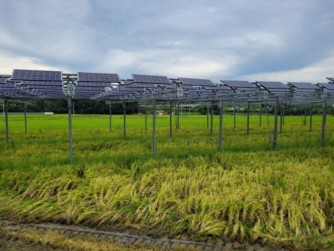 에기평, AI 연계 영농형 태양광 스마트팜 개발 추진 - 뉴스 썸네일 이미지
