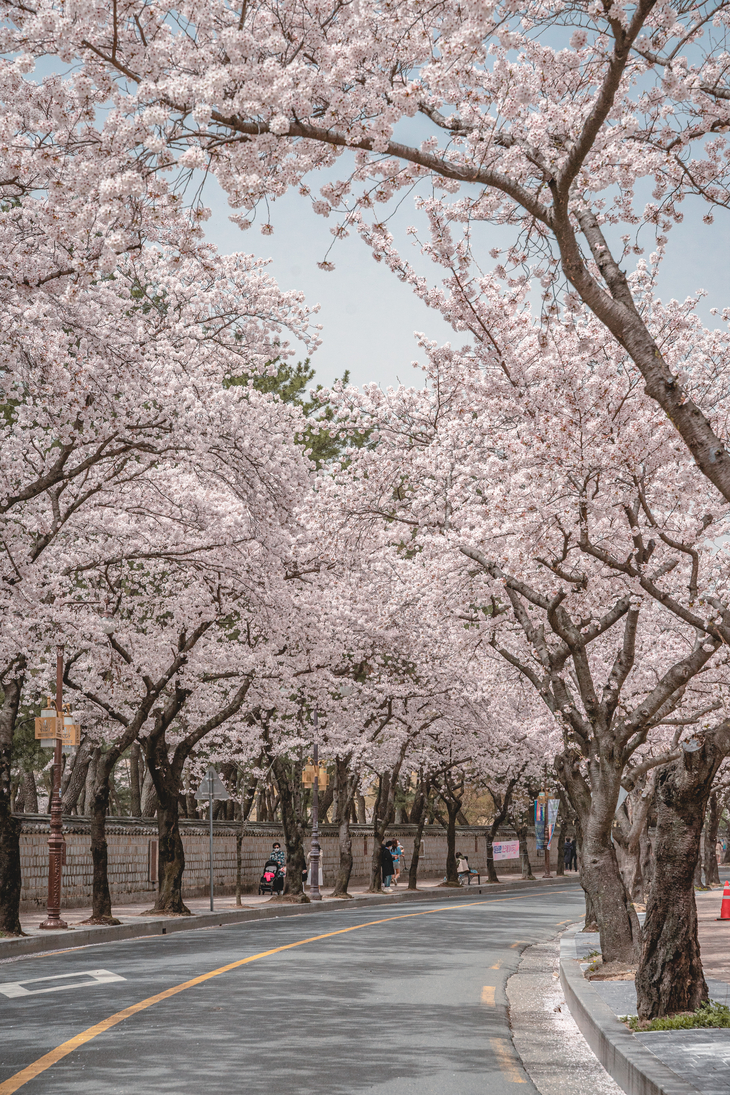 [E-로컬뉴스] 영천시, 영천시의회, 경북문화관광공사, 대구대, 영남이공... - 뉴스 썸네일 이미지