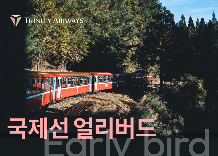 트리니티항공, 내년 1~3월 국제선 항공권 최대 24% 할인 - 뉴스 썸네일 이미지