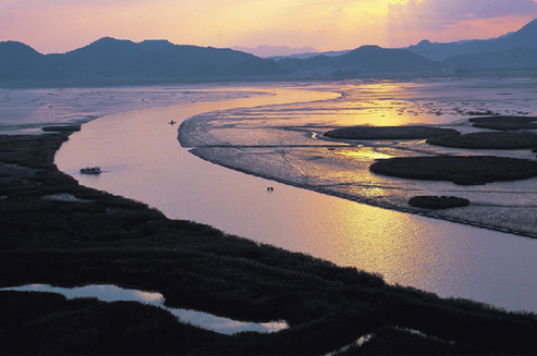 갯벌 속 블루카본