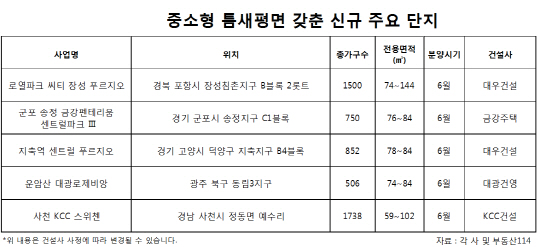 중소형 틈새평면