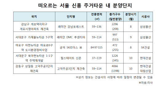 신흥주거타운