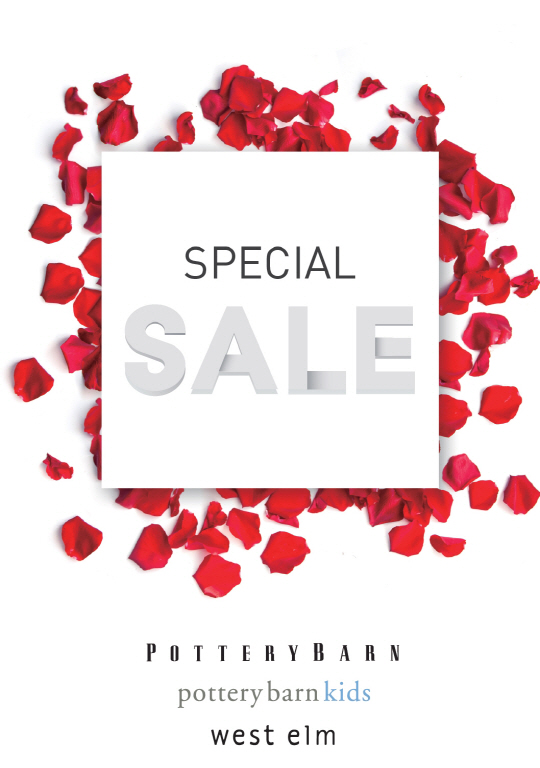 윌리엄스 소노마 시즌_스페셜 세일